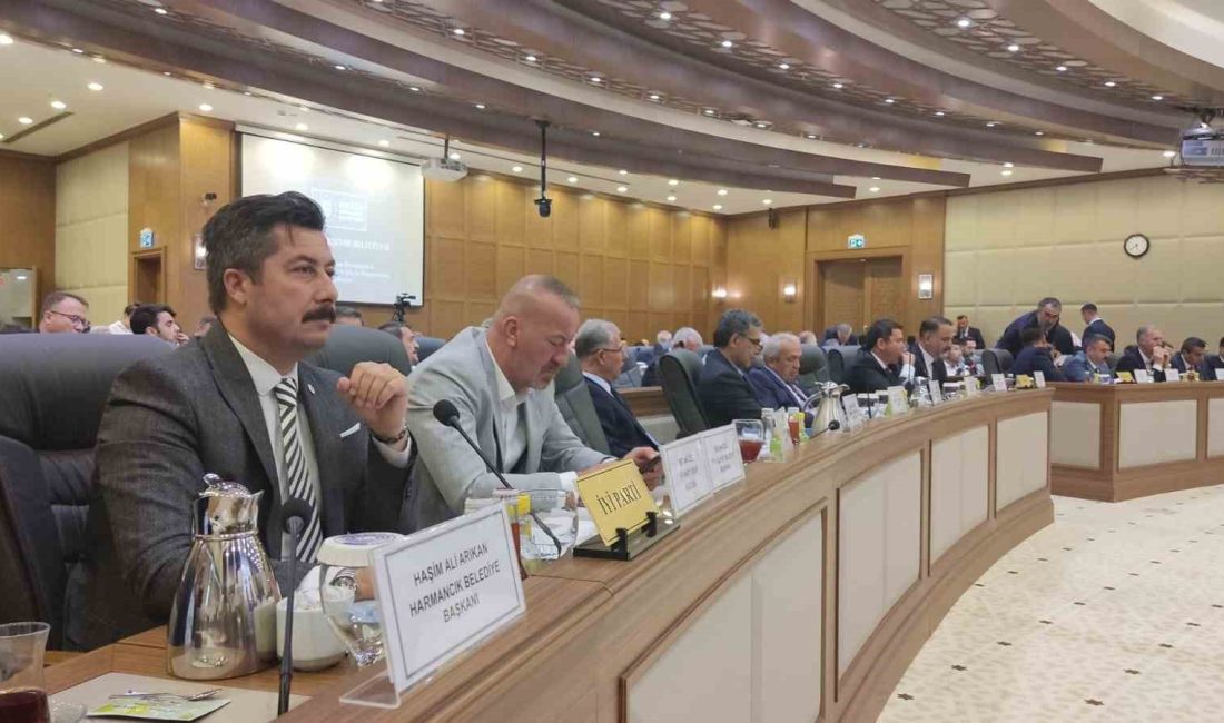 Yenişehir Belediye Başkanı Ercan Özel, dolu yağışından etkilenen Yenişehir’in Köprühisar,