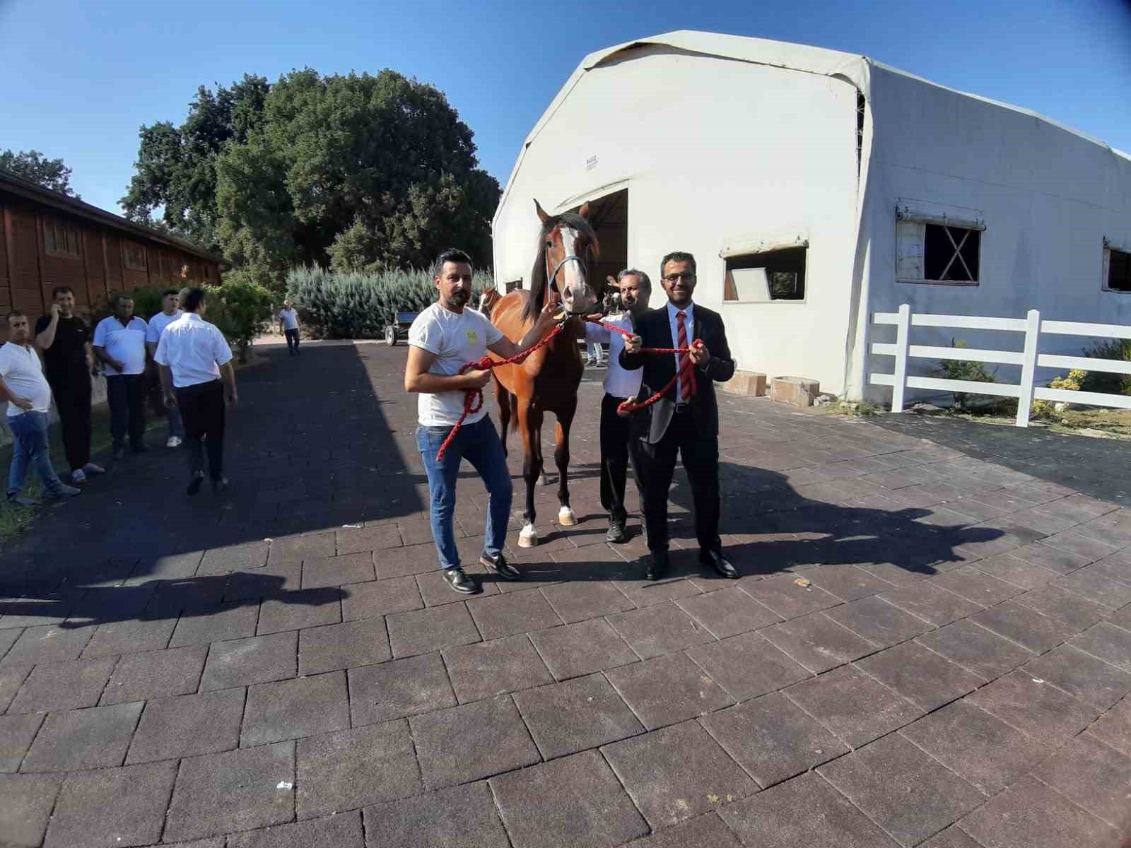 64 tayin satisindan 26 milyon 640 bin tl gelir elde edildi e1afcf9