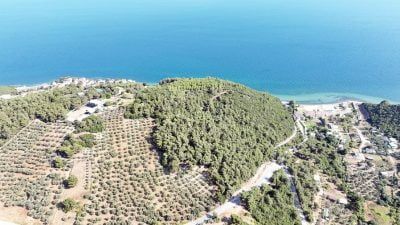 Bursa'da 116 dönümlük deniz manzaralı Çamlık orman ihalesine Mudanya Belediyesi