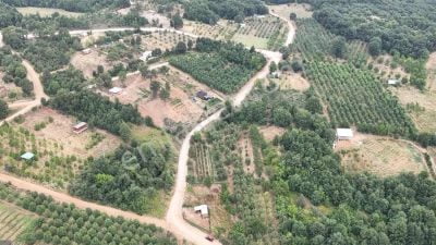 Bursa’nın 721 yıllık Kozluören Mahallesi’nde 523 yıldır yapılan gelenek ile