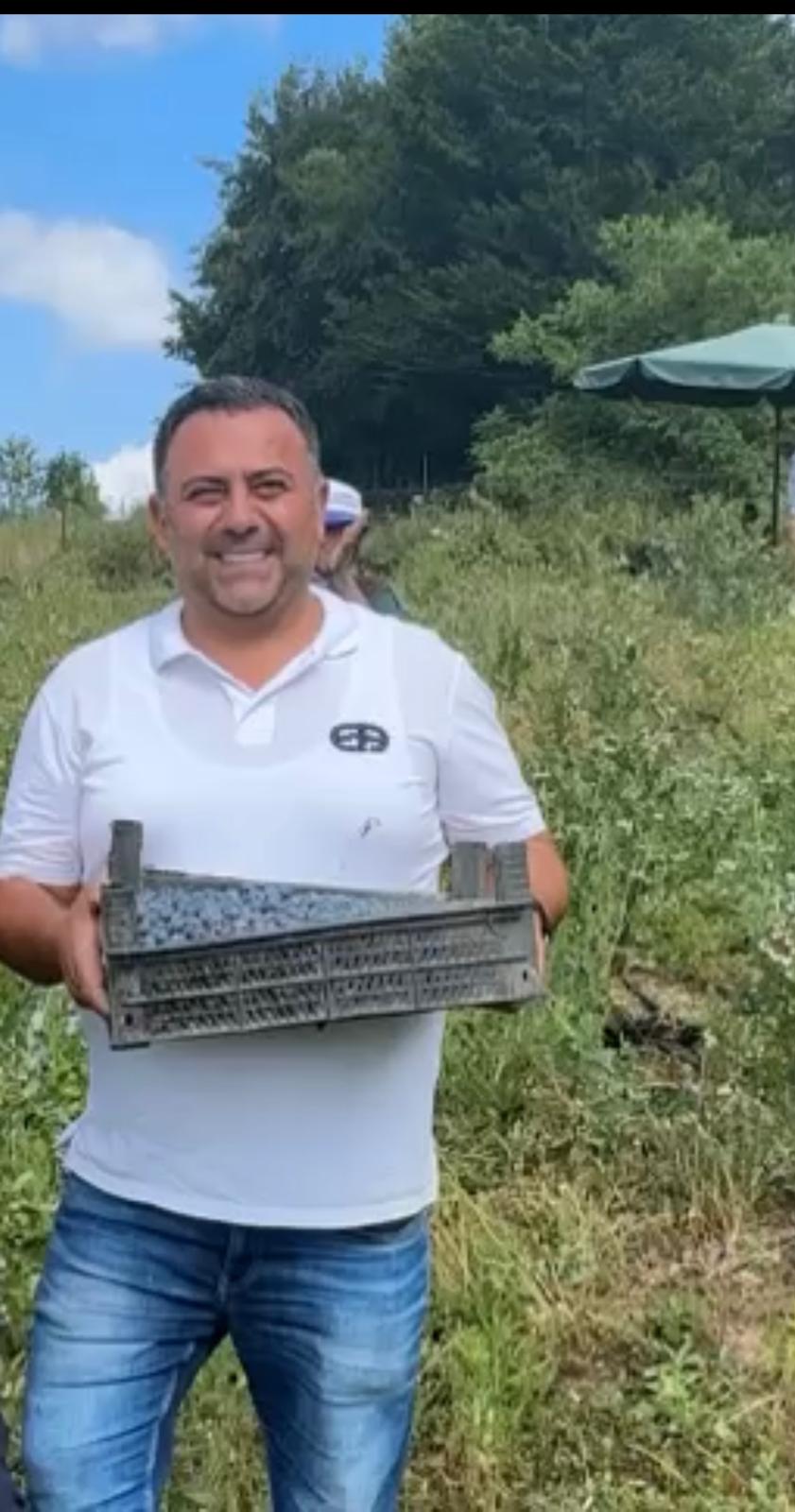 Yerli Bluberry üreticileri, son yıllarda artan ithalatın, yerli üretimi ve