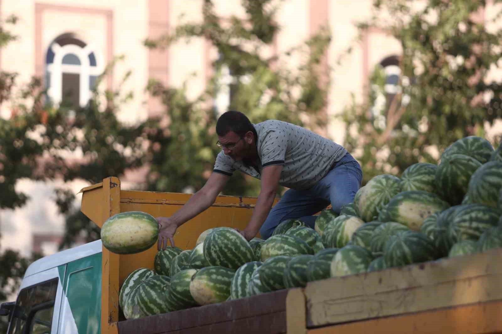 tarlada kalan karpuz bursalilara ucretsiz dagitildi 90d8267