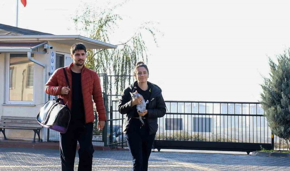 İNEGÖL BELEDİYESİ VETERİNER İŞLERİ MÜDÜRLÜĞÜ’NÜN YAPTIĞI ÇALIŞMALARLA 2024 YILI OCAK