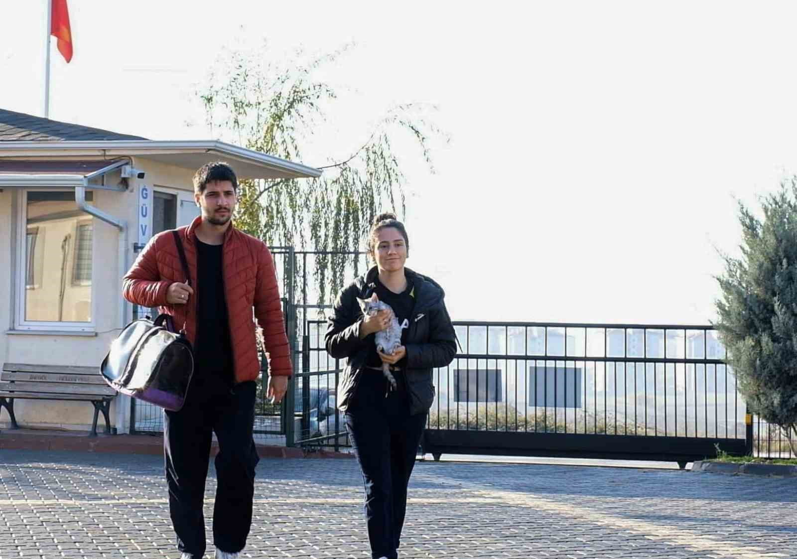 266 can dostu yeni yuvasina kavustu c76acbf