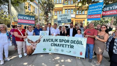 Bursa’da, DOĞADER, Nilüfer Kent Konseyi Hayvan Hakları Grubu, Bursa Kent
