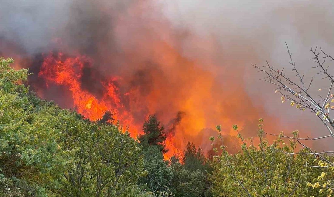 BURSA'NIN İZNİK İLÇESİNDE ORMANLIK ALANDA ÇIKAN YANGIN 12 SAATLİK MÜCADELENİN