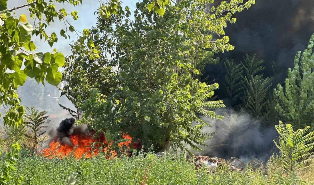 BURSA'DA OTLUK ALANDA ÇIKAN YANGIN KISA SÜREDE BÜYÜRKEN BÖLGEYE ÇOK