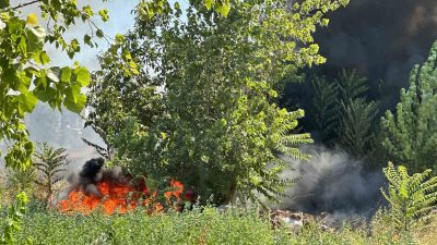 BURSA'DA OTLUK ALANDA ÇIKAN YANGIN KISA SÜREDE BÜYÜRKEN BÖLGEYE ÇOK