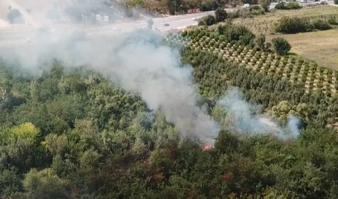 BURSA'DA OTLUK ALANDA ÇIKAN YANGIN İTFAİYE EKİPLERİ TARAFINDAN SÖNDÜRÜLDÜ.