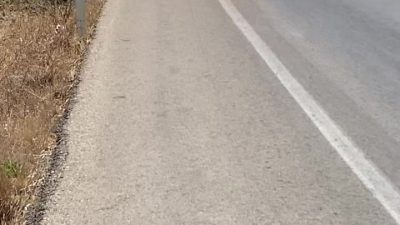 BURSA'NIN İZNİK İLÇESİNDE BİR OTOMOBİL, YOLUN ORTASINDA CAYIR CAYIR YANDI.