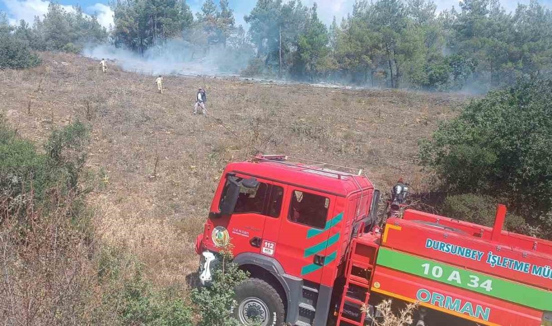 BURSA’DA KELES VE MUSTAFAKEMALPAŞA’NIN ARDINDAN BÜYÜKORHAN’DA ORMAN YANGININA TESLİM OLDU.