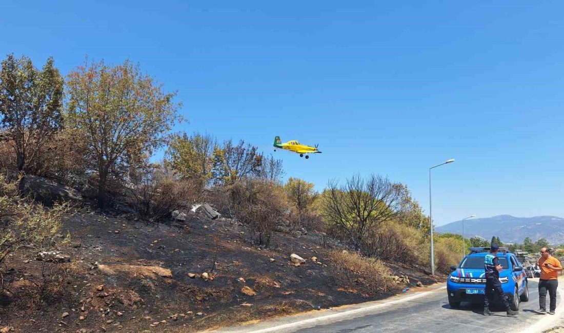 İZMİR SELÇUK'TA BULUNAN EFES ANTİK KENTİ GİRİŞİNE YAKIN BİR BÖLGEDE