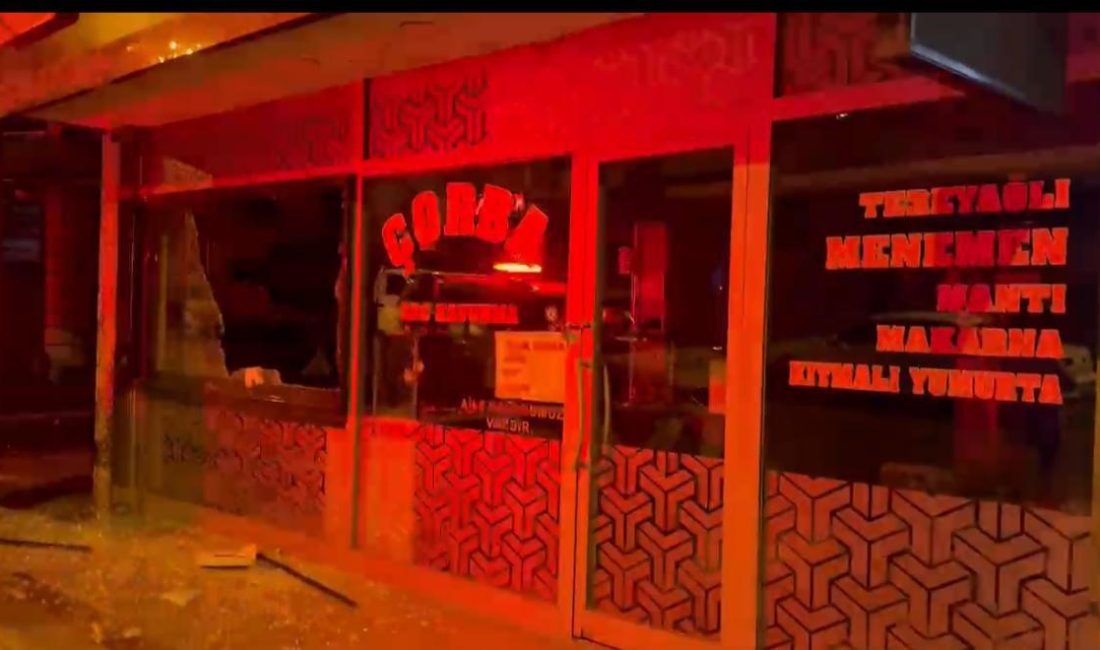 BURSA'DA BİR ŞÜPHELİ GECE SAATLERİNDE HAFİF TİCARİ ARAÇLA GELİP 4