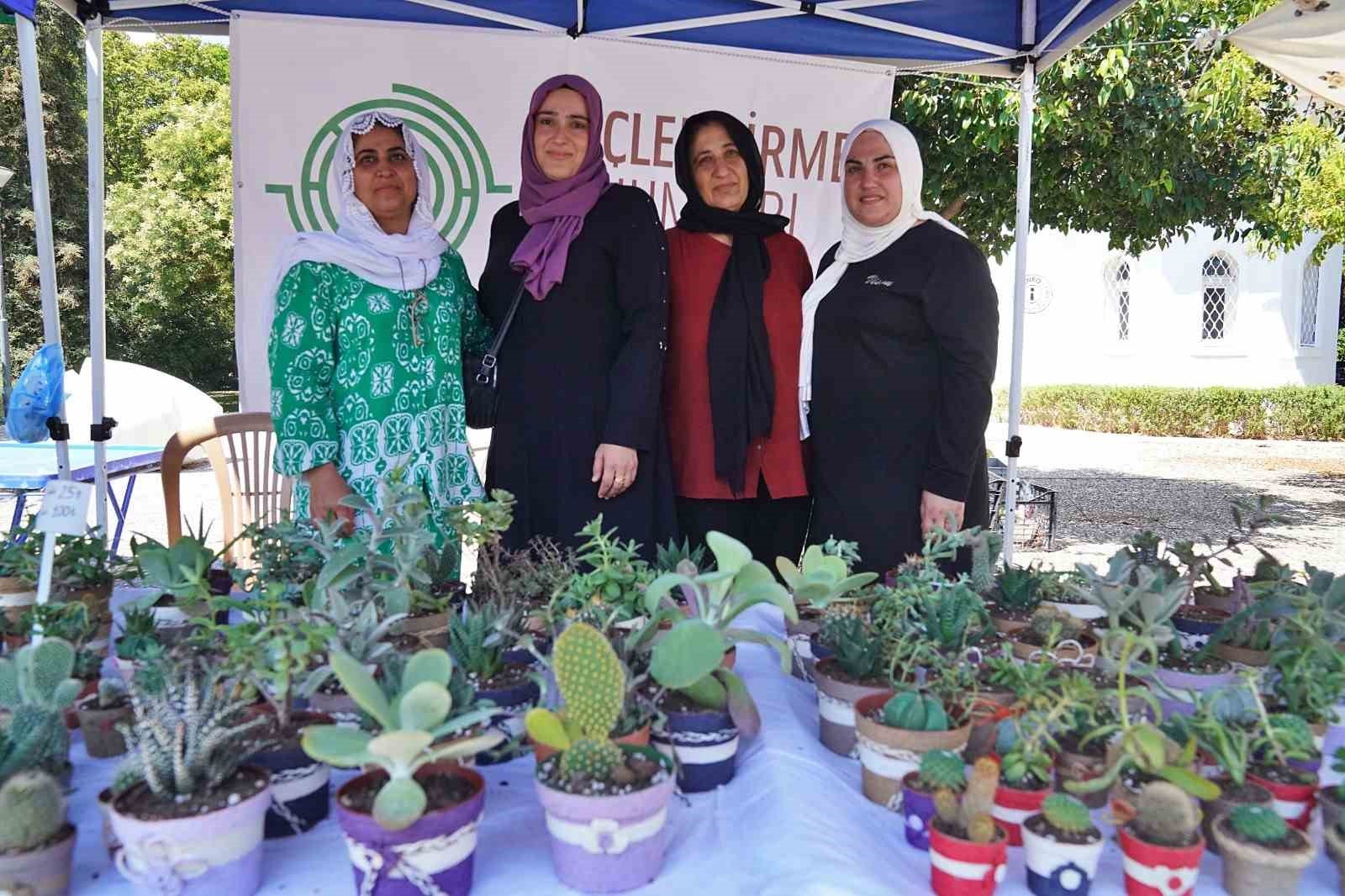 hem tohumlar hem kadinlar gucleniyor ead94f5
