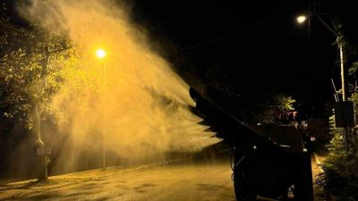 BURSA'NIN İZNİK İLÇESİ BOYALICA SAHİLİNDE AĞAÇLARDA GÖRÜLEN ZARARLILARA KARŞI İLAÇLAMA