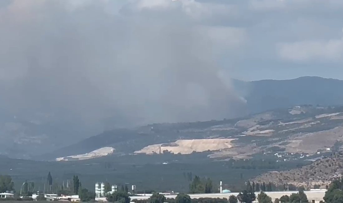 BURSA'NIN İZNİK İLÇESİNDE ORMANLIK ALANDA YANGIN ÇIKTI. HIZLA BÜYÜYEN YANGINA