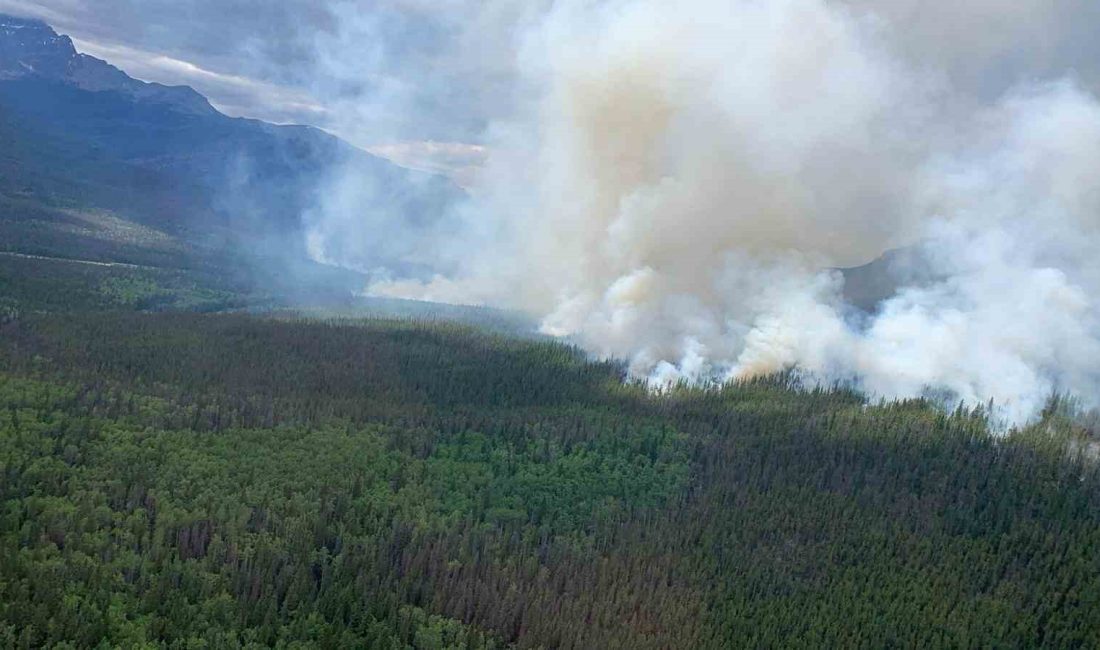 KANADA'NIN ALBERTA EYALETİNDE DEVAM EDEN ORMAN YANGININDA 1 İTFAİYECİ HAYATINI