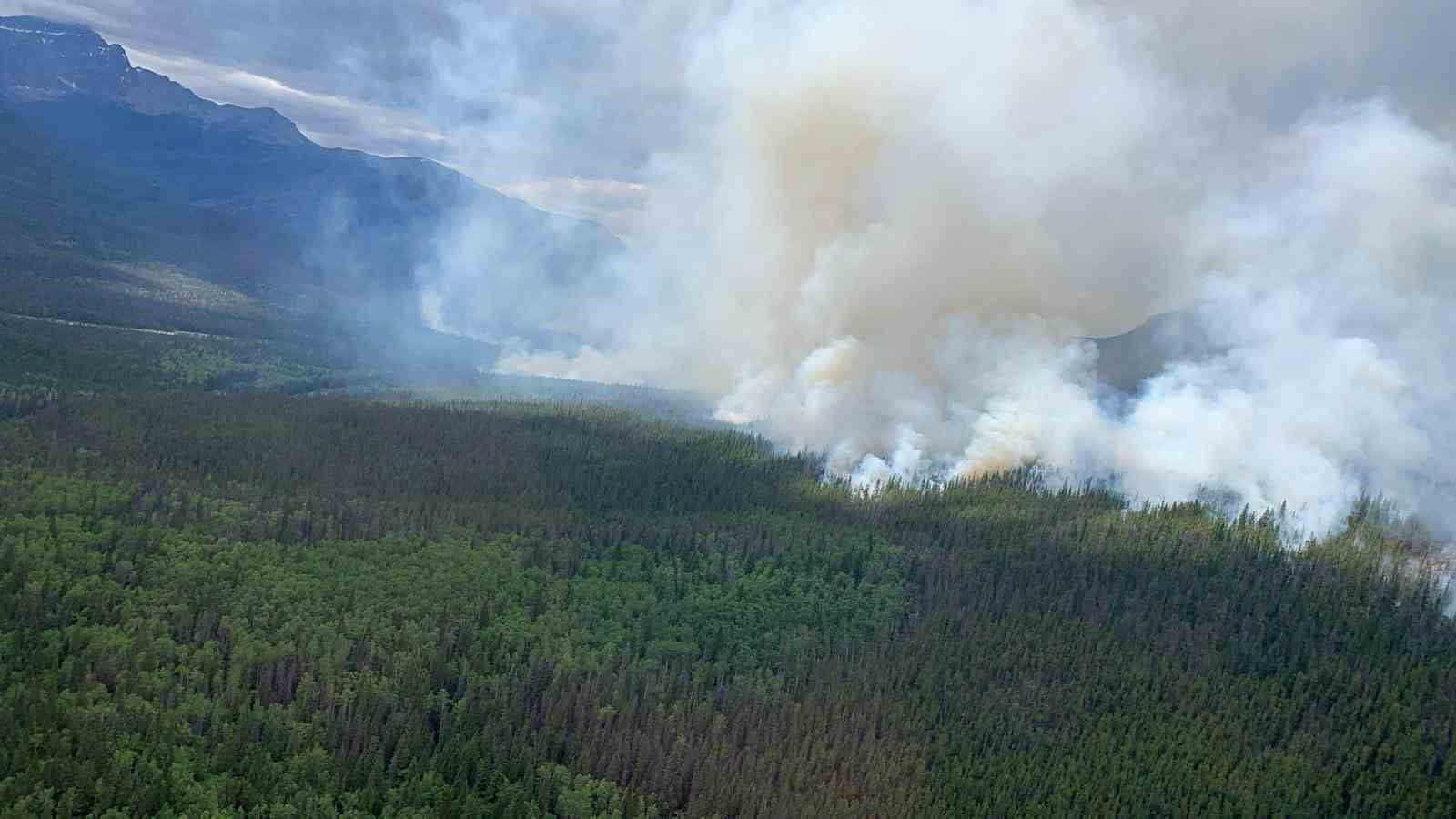 kanadanin alberta eyaletindeki orman yangininda 1 kisi oldu 1a67330
