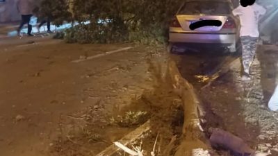 BURSA'NIN MUSTAFAKEMALPAŞA İLÇESİNDE AŞIRI HIZLA GİDEN OTOMOBİL KONTROLDEN ÇIKIP, REFÜJDEKİ