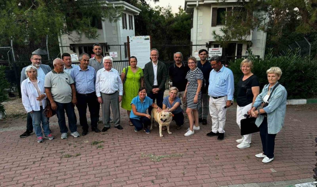 OSMANGAZİ SAHİPSİZ HAYVANLAR DOĞAL YAŞAM VE REHABİLİTASYON MERKEZİNDE BİR ARAYA