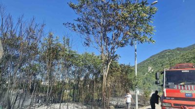 ULUDAĞ’IN ETEKLERİNDEKİ AKÇAĞLAYAN MAHALLESİNDE ÇIKAN ORMAN YANGINI BÜYÜMEDEN SÖNDÜRÜLDÜ.