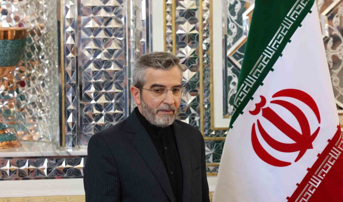 ÜRDÜN DIŞİŞLERİ BAKANI AYMAN SAFADİ, TAHRAN'DA İRAN DIŞİŞLERİ BAKAN VEKİLİ