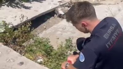 BURSA'DA KANADI KIRILAN VE DEREDE MAHSUR KALAN YARALI MARTIYI, İHBAR