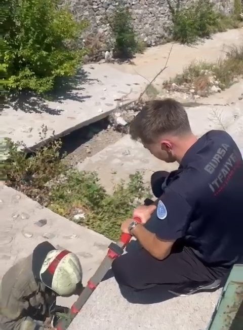 BURSA'DA KANADI KIRILAN VE DEREDE MAHSUR KALAN YARALI MARTIYI, İHBAR