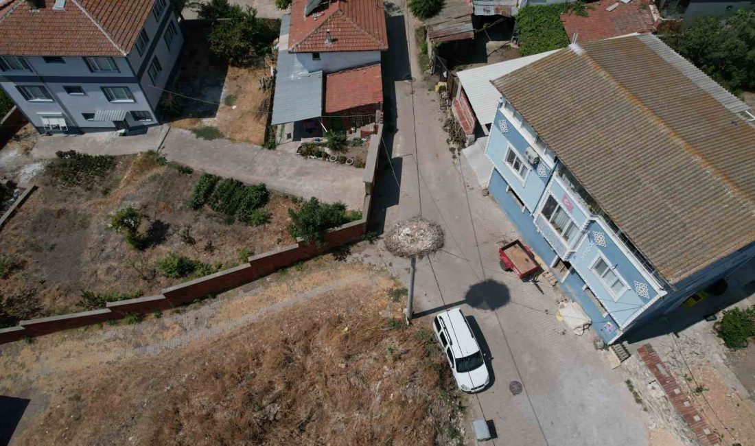 BURSA'DA 13 YILDIR BALIKÇI ADEM YILMAZ İLE KURDUĞU DOSTLUKLA MİLYONLARIN