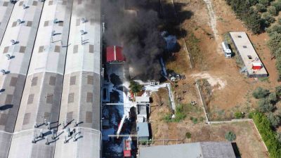 Türkiye’nin ilk seri yat üreticisi olan Sirena Marine’nin Orhangazi’deki fabrikasındaki