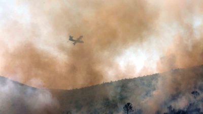 YUNANİSTAN'IN BAŞKENTİ ATİNA’NIN 35 KİLOMETRE KUZEYİNDEKİ VARNAVA KÖYÜNDE PAZAR GÜNÜ