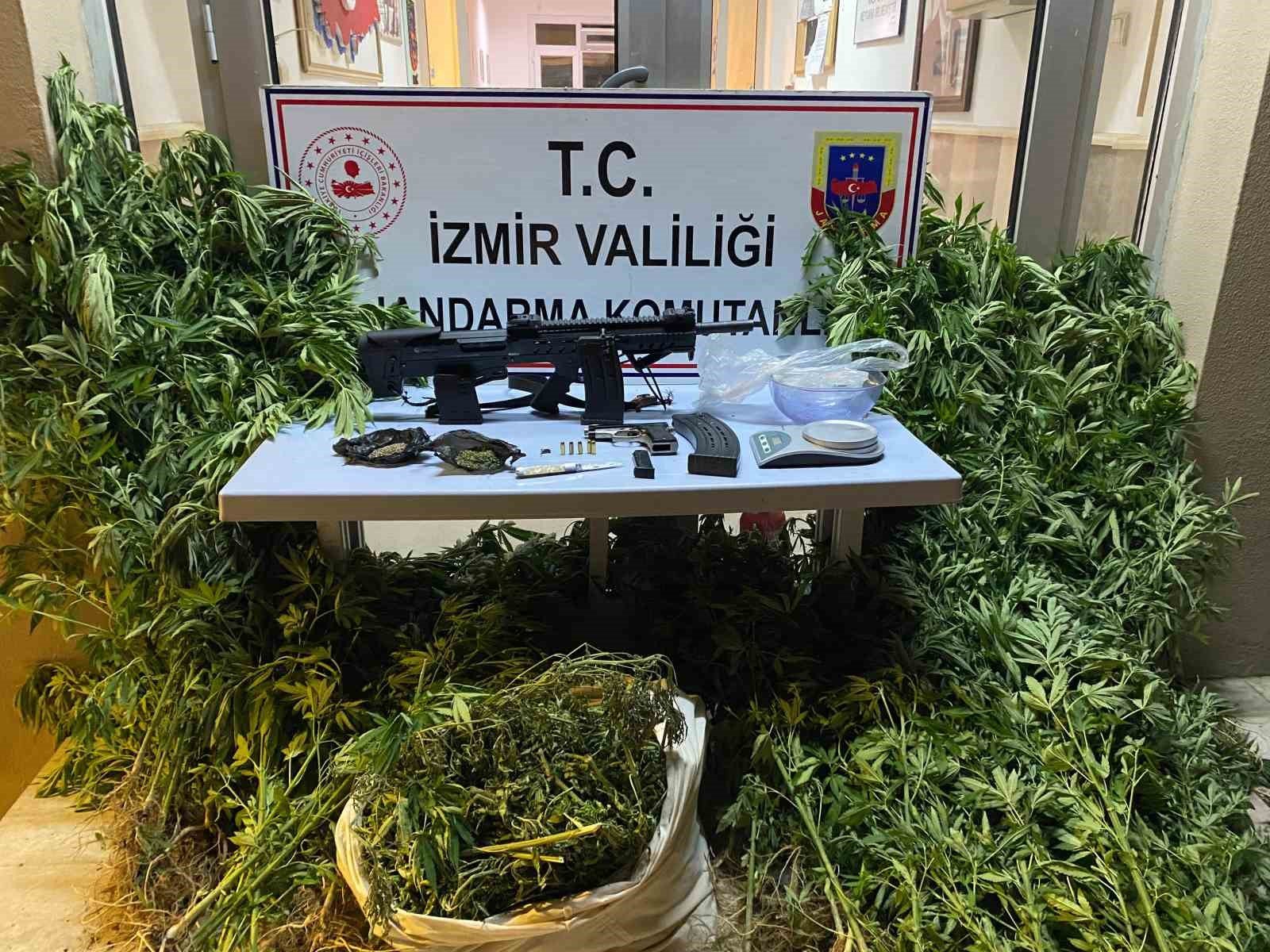 zeytinlik alanini uyusturucu tarlasina ceviren zanli yakalandi 9e83085