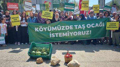 Bursa'nın Nilüfer ilçesi İnegazi Mahallesi'ne 440 metre mesafede bulunan 124