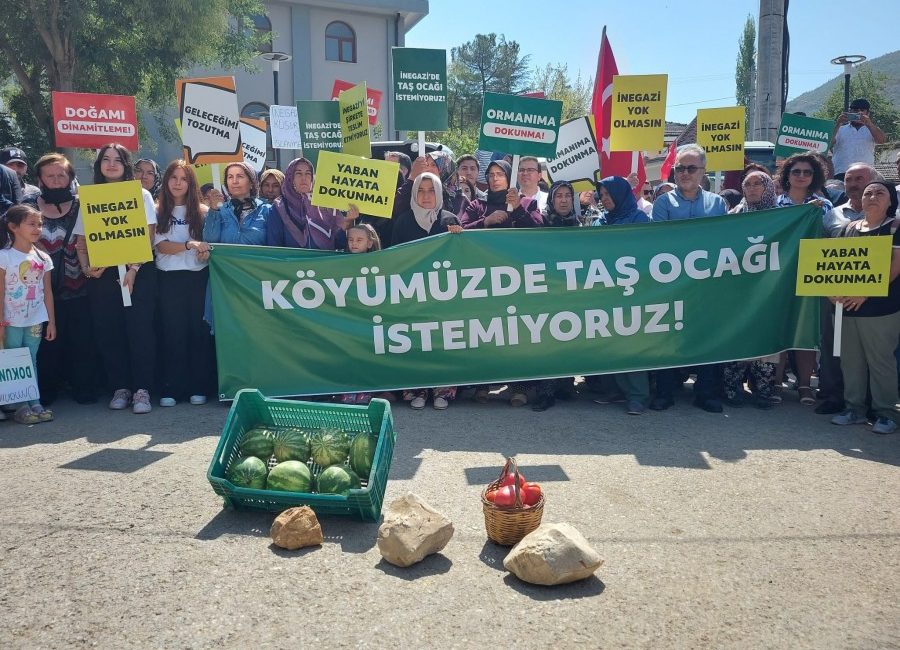 Bursa'nın Nilüfer ilçesi İnegazi Mahallesi'ne 440 metre mesafede bulunan 124