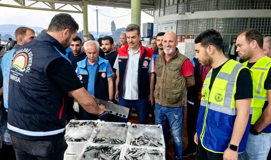 Kaçak Balık Avına Geçit Yok Bursa Büyükşehir Belediyesi iştiraki Tarım Peyzaj A.Ş. Su Ürünleri Birimi