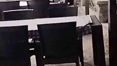 ANKARA’NIN KIZILCAHAMAM İLÇESİNDE AÇ BİR AYI RESTORANIN MASALARINDA YİYECEK ARARKEN