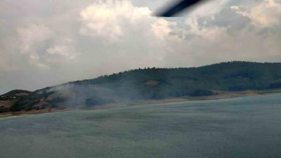 ADANA'DA ORMANLIK ALANDA ÇIKAN YANGIN KONTROL ALTINA ALINDI. EKİPLERİN SOĞUTMA