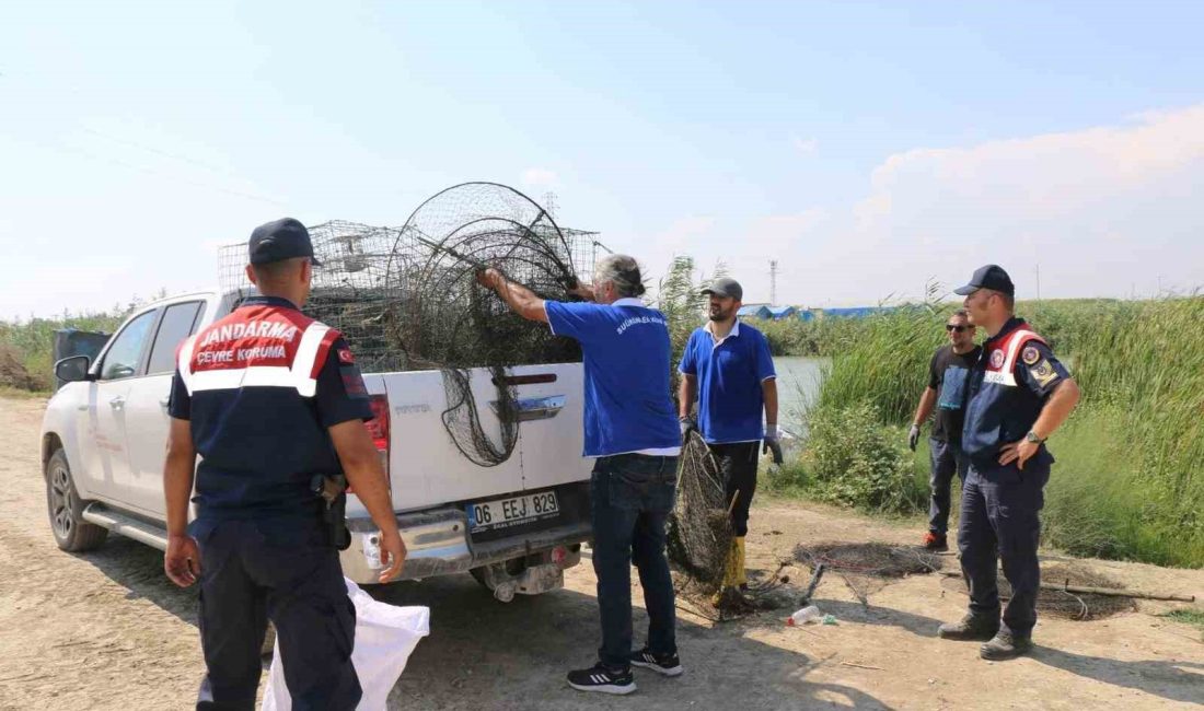 ADANA’DA JANDARMA EKİPLERİ, SULAMA KANALINDA KIYI KANUNUNA UYMAYAN 11 BALIK