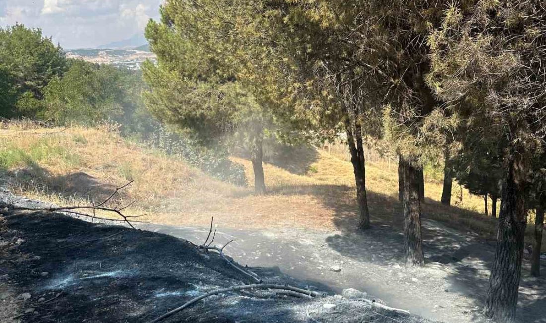 ADIYAMAN’DA, AĞAÇLIK ALANDA ÇIKAN YANGIN KONTEYNER KENTTE SIÇRAMADAN SÖNDÜRÜLDÜ.