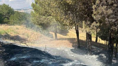 ADIYAMAN’DA, AĞAÇLIK ALANDA ÇIKAN YANGIN KONTEYNER KENTTE SIÇRAMADAN SÖNDÜRÜLDÜ.