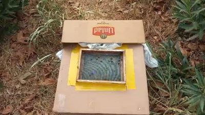 BURSA'DA SABAH SPORU İÇİN MESİRE ALANINDA YÜRÜYÜŞ YAPAN VATANDAŞ, ÇINAR