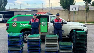 AĞRI'DA KURBAĞA AVCILARINA JANDARMADAN REKOR CEZA