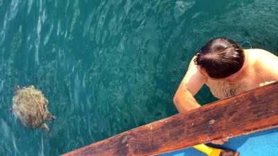 ANTALYA'NIN ALANYA İLÇESİNDE, TARİHİ TERSANE ÖNÜNDE SABAH SAATLERİNDE DALIŞ YAPMAK