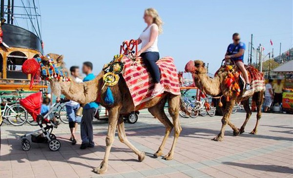 ALANYA BELEDİYE BAŞKANI OSMAN TARIK ÖZÇELİK’İN 1 YIL SÜRE VERMESİNE