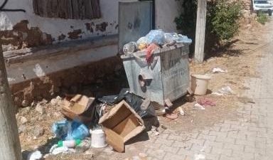 ESKİŞEHİR’İN ALPU İLÇESİ’NDE ÇÖPLERİN TOPLANMAMASINDAN DOLAYI OLUŞAN KÖTÜ KOKU VE