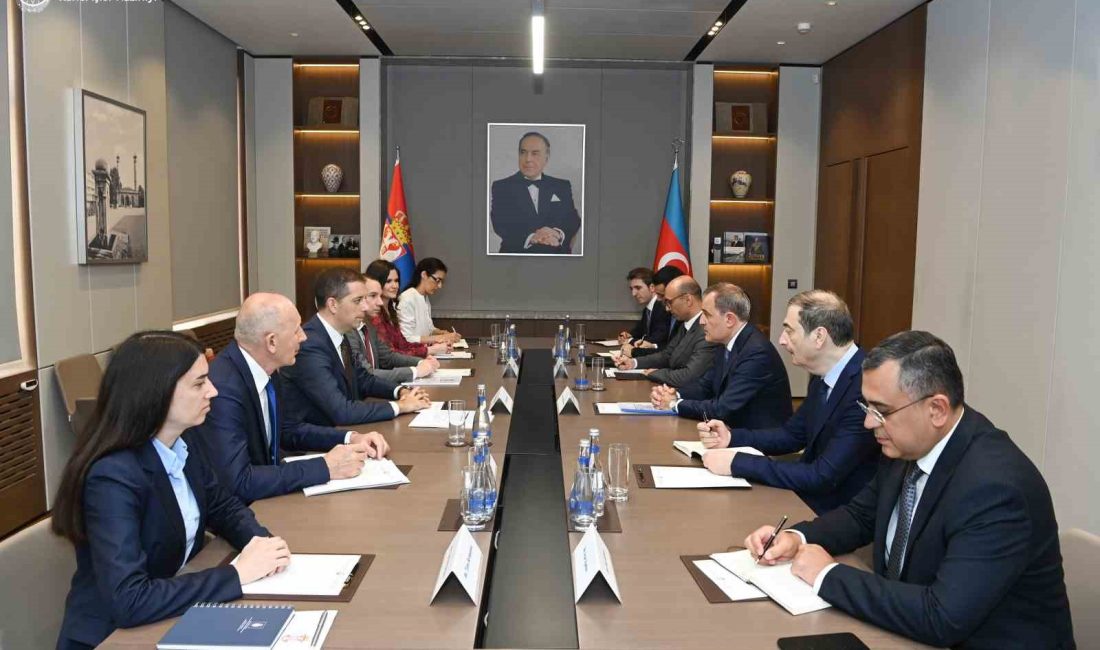 AZERBAYCAN DIŞİŞLERİ BAKANI CEYHUN BAYRAMOV, SIRBİSTAN DIŞİŞLERİ BAKANI MARKO DJURİC