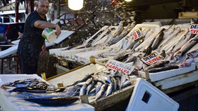 MARMARA, KARADENİZ VE EGE BÖLGELERİNDE 1 EYLÜL'DE AV YASAĞININ KALKMASIYLA,