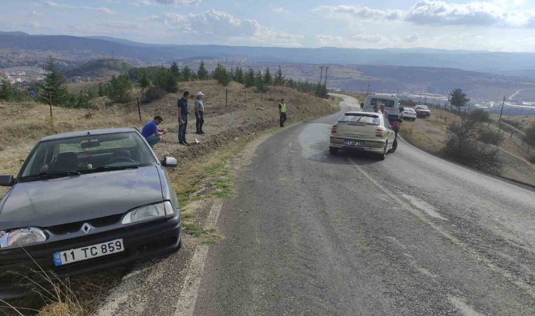 BİLECİK'TE MEYDANA GELEN TRAFİK KAZASINDA 2 KİŞİ YARALANDI