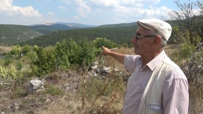 EHRAMİ KARAÇAM AĞACININ DÜNYADA SADECE KÜTAHYA'DA YETİŞTİĞİ BİLDİRİLDİ.