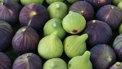 TARIM VE ORMAN BAKANI İBRAHİM YUMAKLI, BURSA SİYAH İNCİRİNİN TÜRKİYE